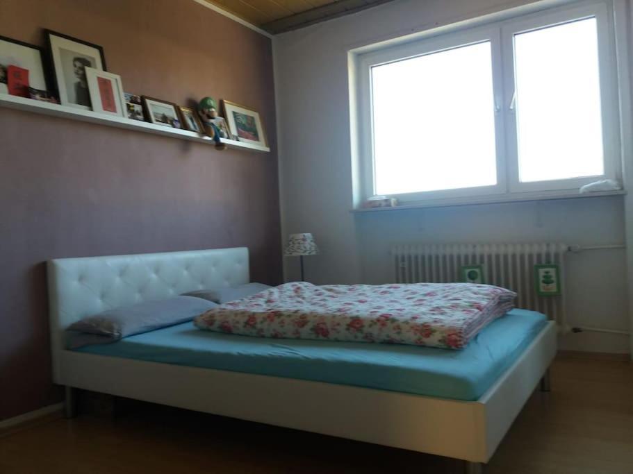 Gemuetliche, Helle Wohnung Im Luftkurort Dansenberg 카이저슬라우테른 외부 사진